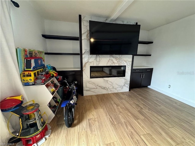 living room featuring light hardwood / wood-style flooring and a fireplace