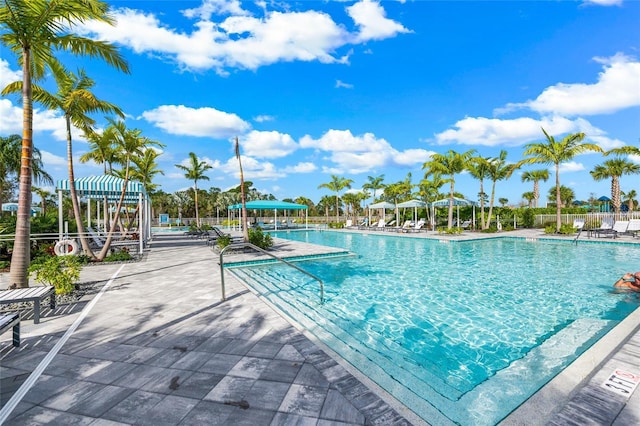 view of swimming pool with a patio area