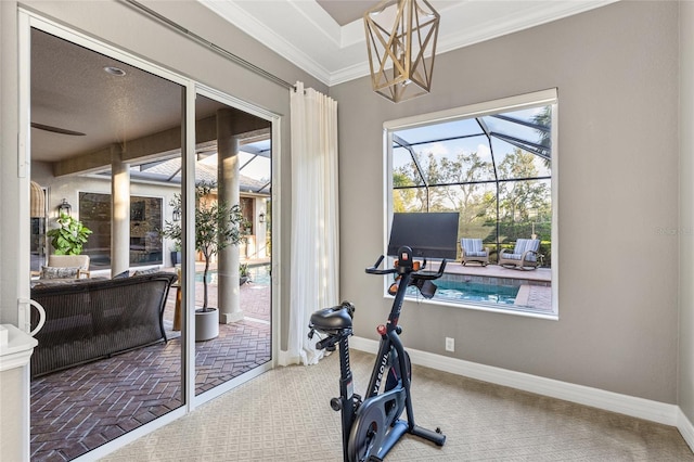 workout area with carpet floors and ornamental molding