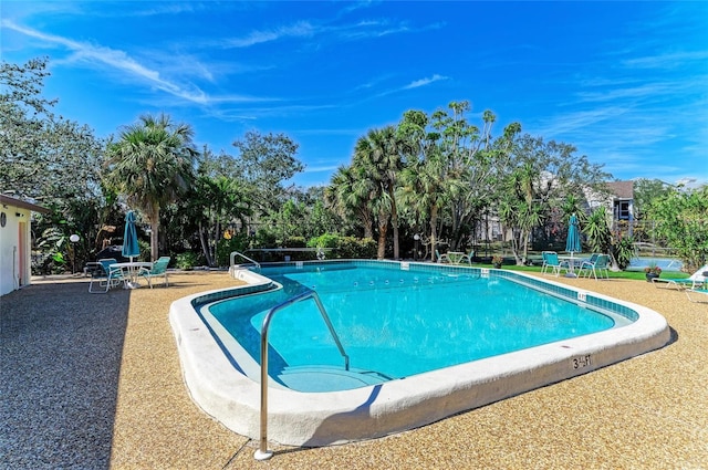 view of swimming pool featuring a patio