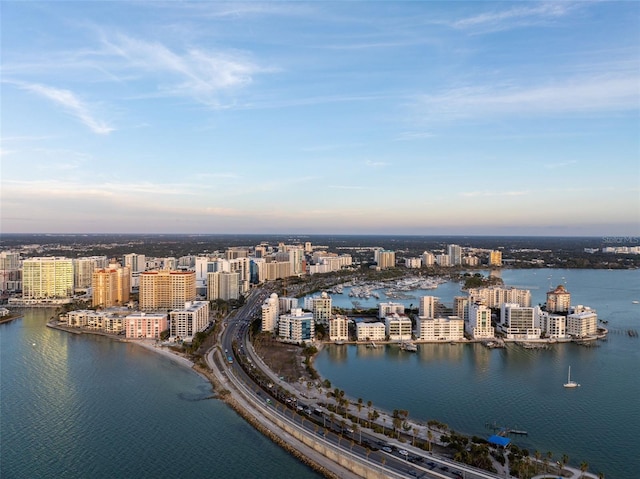 aerial view with a water view