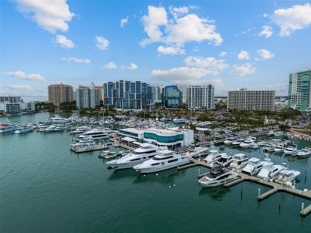 aerial view with a water view