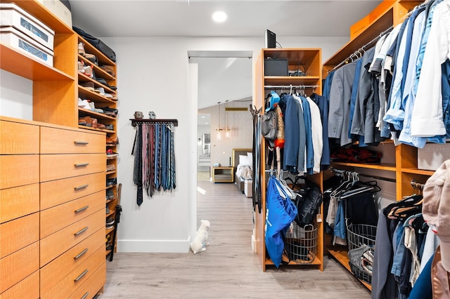 spacious closet with light wood-type flooring