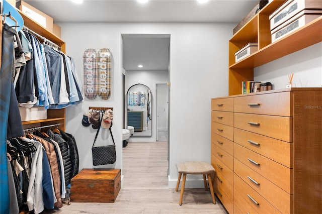 spacious closet featuring light wood-type flooring