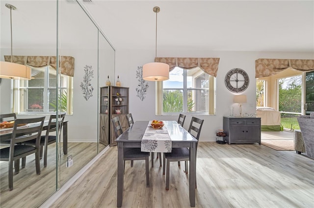 dining room featuring plenty of natural light and hardwood / wood-style floors