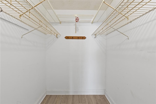 spacious closet with wood-type flooring