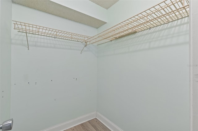 spacious closet with hardwood / wood-style flooring