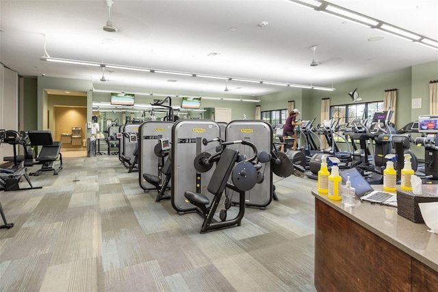 gym featuring light colored carpet