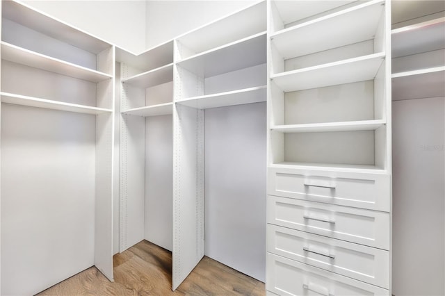 walk in closet featuring wood finished floors