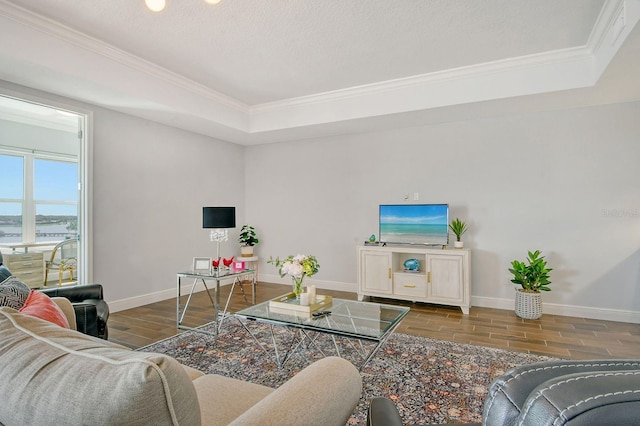 living area with a raised ceiling, a textured ceiling, baseboards, and wood finished floors