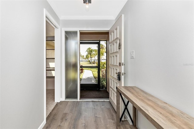 entryway with hardwood / wood-style floors