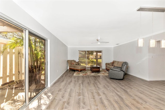 living area featuring crown molding, ceiling fan, and light wood-type flooring