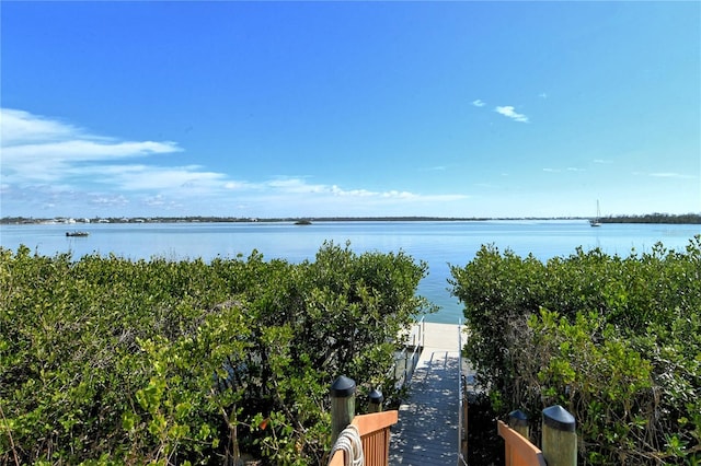 view of water feature featuring a boat dock