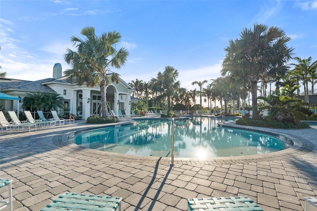 view of pool featuring a patio