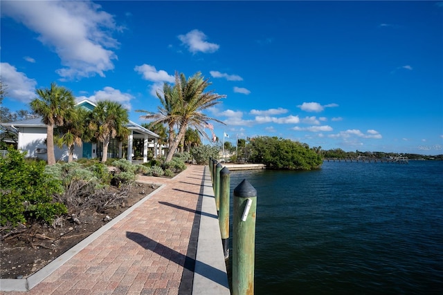 dock area with a water view