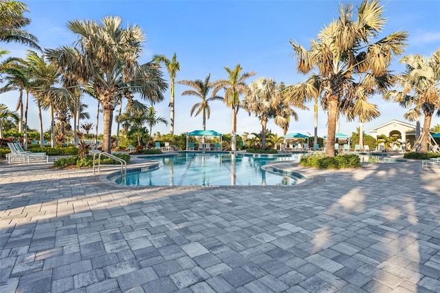 view of swimming pool featuring a patio