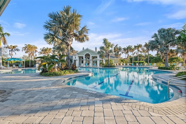 view of pool featuring a patio