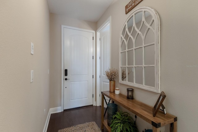 doorway to outside featuring dark hardwood / wood-style floors