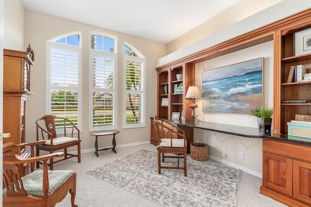 sitting room with light colored carpet