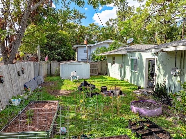 view of yard featuring a storage unit