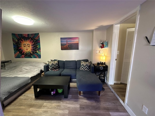 living room featuring hardwood / wood-style floors and a textured ceiling