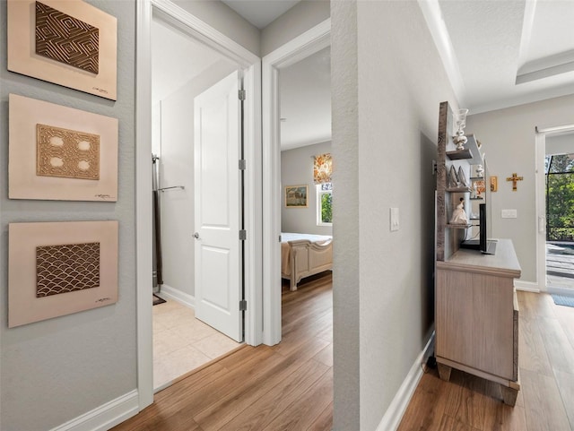 hallway featuring a healthy amount of sunlight and light wood-type flooring