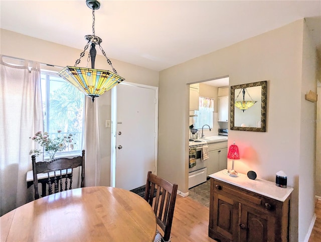 dining space featuring light wood-style floors