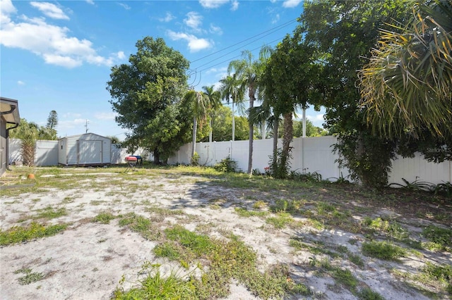 view of yard with a storage unit