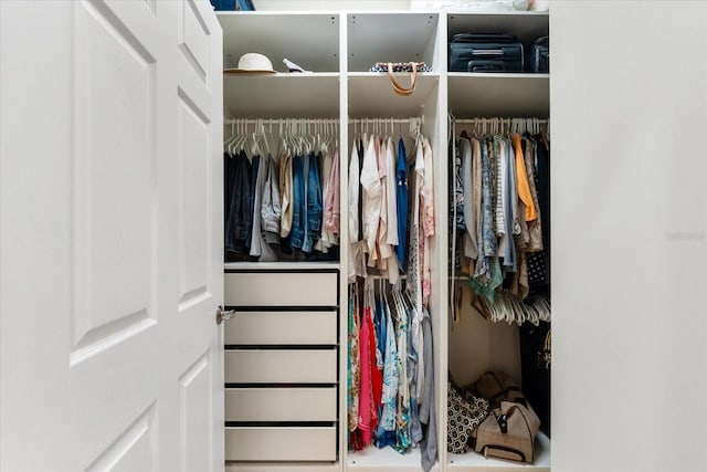 view of closet