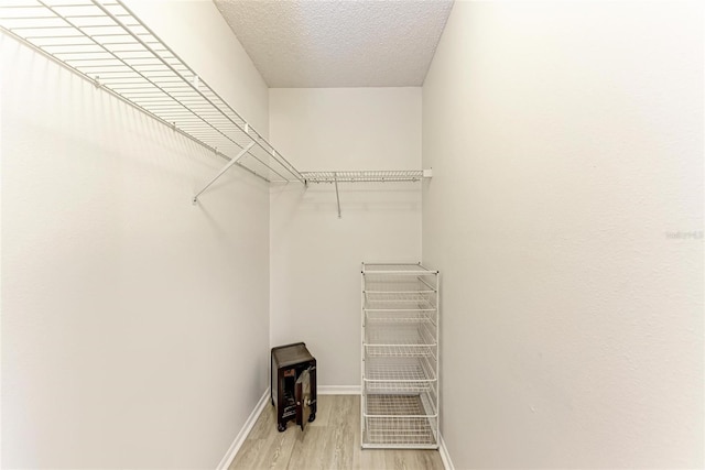 spacious closet with light wood-type flooring