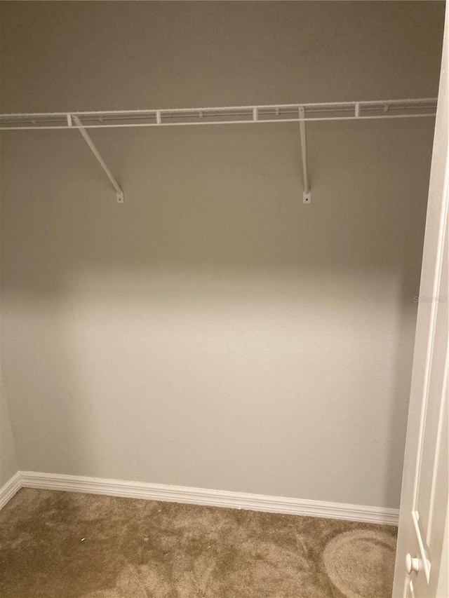 walk in closet featuring carpet floors