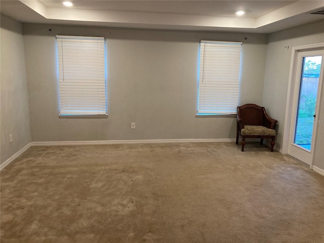 unfurnished room featuring a raised ceiling and carpet flooring