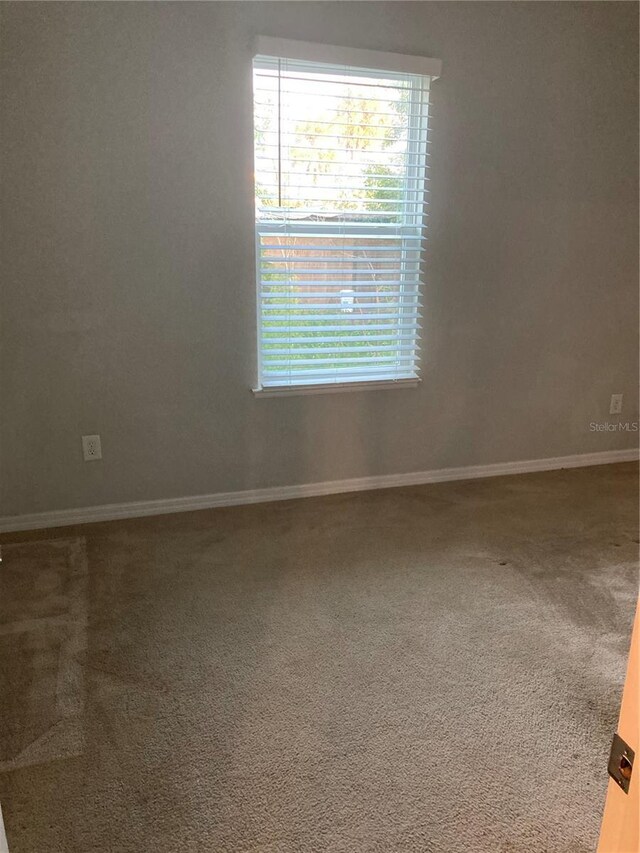 empty room featuring a wealth of natural light, baseboards, and carpet