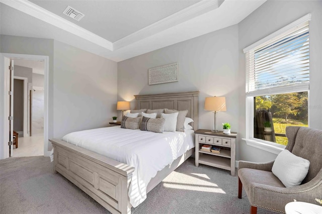 bedroom with light carpet and a raised ceiling