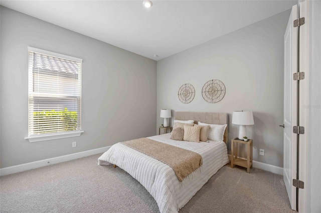 bedroom with carpet flooring