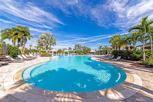 view of swimming pool featuring a patio