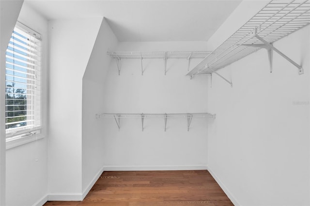 walk in closet featuring hardwood / wood-style flooring