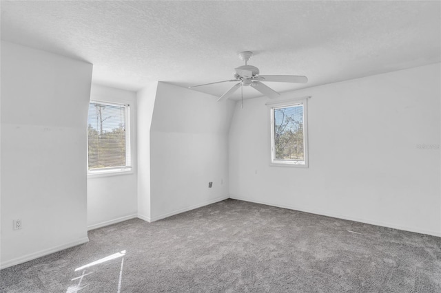 carpeted spare room with ceiling fan, a textured ceiling, and a wealth of natural light