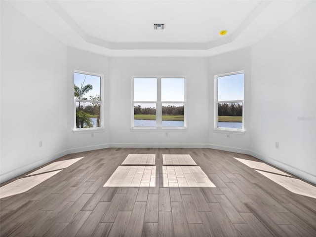 empty room with wood-type flooring and a raised ceiling