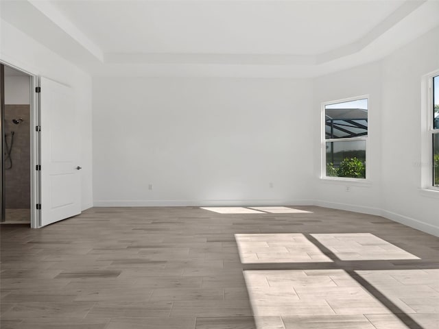 unfurnished room featuring a raised ceiling and light hardwood / wood-style flooring