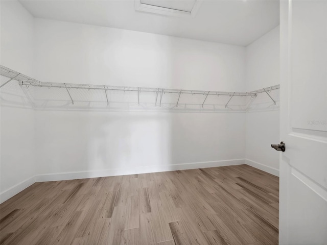 walk in closet featuring light wood-type flooring