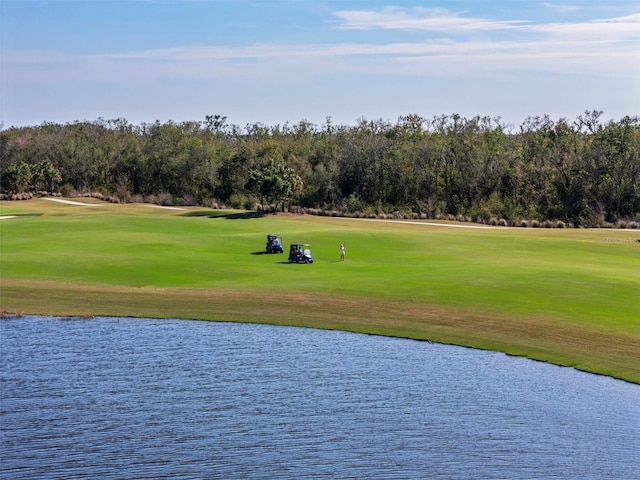 view of home's community featuring a water view and a lawn