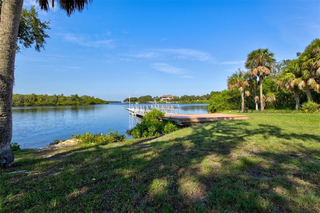 property view of water with a boat dock