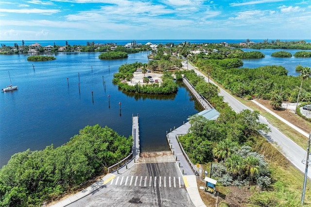 bird's eye view with a water view