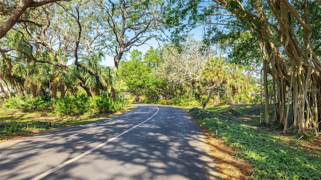 view of road