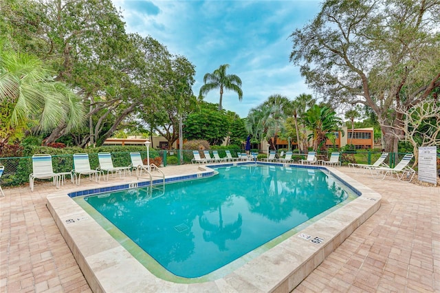 view of swimming pool with a patio