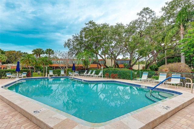 view of pool with a patio