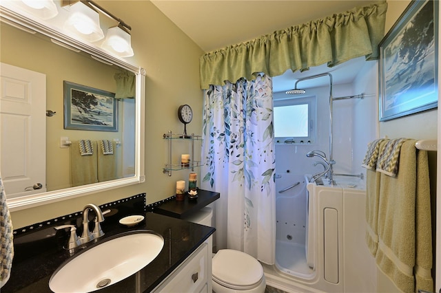 bathroom with toilet and vanity