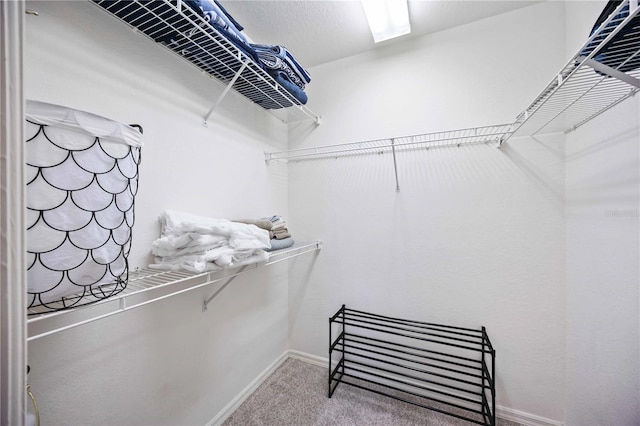 spacious closet featuring carpet floors