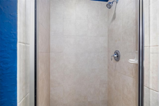 interior details featuring tiled shower